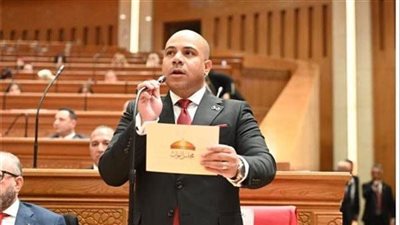 أونلي ليبانون : زيادة غير مبررة على المواطنين.. النائب علي خليفة يتقدم بطلب إحاطة لوقف “التعريفة الموحدة” للعدادات الكودية