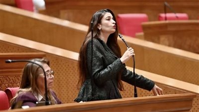 أونلي ليبانون : إيرين سعيد تؤكد ضرورة إنهاء الأزمة وإنشاء كوبري آمن