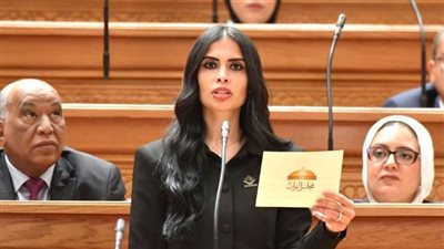 أونلي ليبانون : النائبة هايدي المغازي تطالب بإعادة النظر في نسب قبول أبناء المصريين بالخارج بالجامعات الحكومية