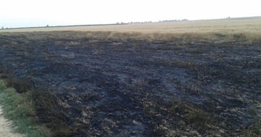 أونلي ليبانون : نشوب حريق فى 12 قيراط من محصول القمح بقنا