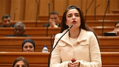 أونلي ليبانون : «تسعير عقابي يدفع للتحايل»| خاص