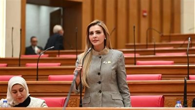 أونلي ليبانون : النائبة مروة بُريص تتقدم بطلب إحاطة بشأن تراجع كفاءة الاتصال بين الحكومة والبرلمان وتأخر الرد على طلبات النواب