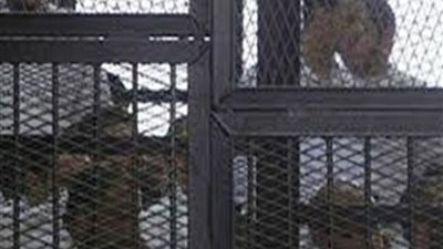 أونلي ليبانون : خلية الطالبية أمام العدالة.. استمرار محاكمة 5 متهمين غدًا