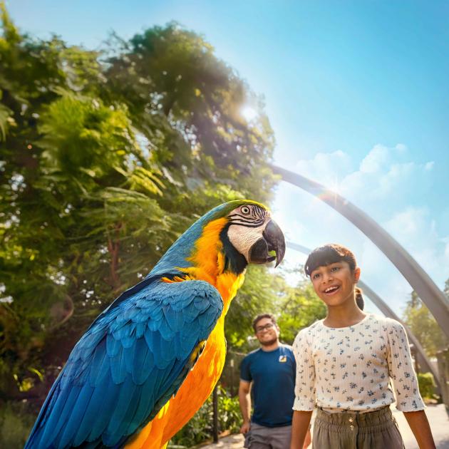 أونلي ليبانون : «دبي سفاري» تنضم إلى الرابطة العالمية لحدائق الحيوان والأحواض المائية