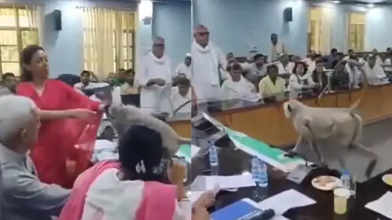 أونلي ليبانون : قرد يقتحم اجتماع «يوم المزارعين» في الهند