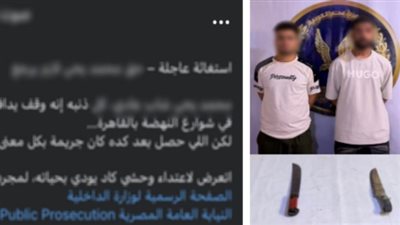 أونلي ليبانون : ضبط شقيقين عاكسا فتاة وتعديا على شقيقها بأسلحة بيضاء في السلام