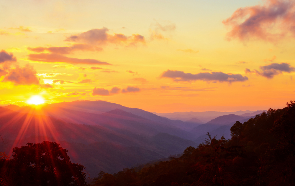 أونلي ليبانون : التشاور نهج قيادة الإمارات | ابن الديرة