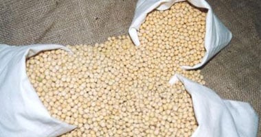 أونلي ليبانون : ضبط 5 طن فول صويا مجهولة المصدر فى المنوفية