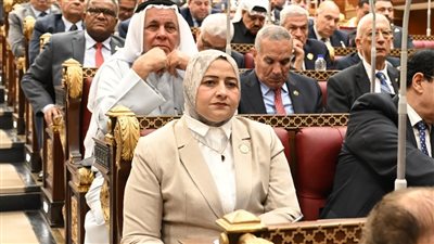 مروة قنصوه تطالب بإطار قانوني وحوافز لدعم الطاقة الشمسية فوق أسطح المباني