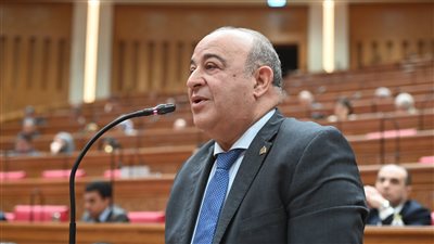 مجدي مرشد : مشاركة الرئيس السيسي في قمة فرنسا
