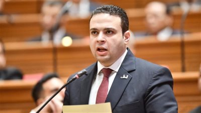 قانون الحكومة لا يعالج الثغرات.. النائب عبد المنعم إمام يرفض مشروع تعديل قانون التأمينات الاجتماعية والمعاشات