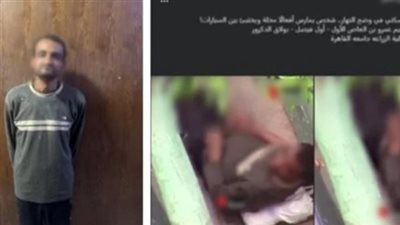 ضبط المتهم بارتكاب أفعال خادشة للحياء بأحد الطرق في الجيزة
