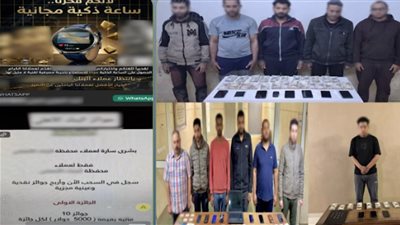 سقوط عصابة الروابط الوهمية.. الداخلية تضبط تشكيلًا أجنبيًا استولى على حسابات وأموال المواطنين