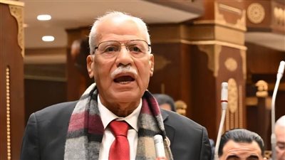 نحتاج اصطفافًا عربيًا موحدًا لمواجهة الاعتداءات على الدول العربية وحماية الأمن القومي