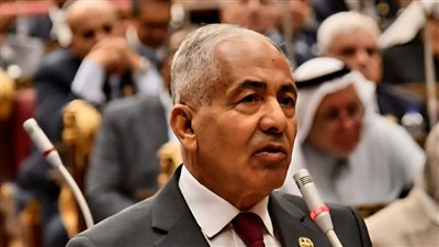 الأسبوع المقبل.. الشيوخ يناقش سياسة الحكومة بشأن الإجراءات المتخذة نحو إنشاء المدارس اليابانية 