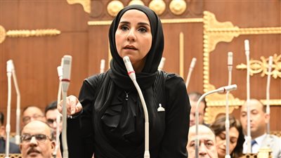 قبل ماراثون الثانوية العامة.. “الشيوخ” يناقش طلب ولاء هرماس بشأن مواجهة الغش الجماعي الاثنين المقبل