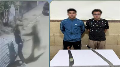 القبض على سائقين حطما سيارة بأسلحة بيضاء في الإسماعيلية