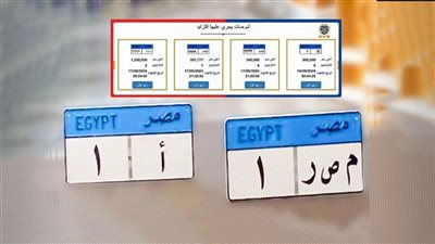 725 ألف جنيه للوحة “هـ و م 1”.. مزاد مشتعل على لوحات المرور المميزة
