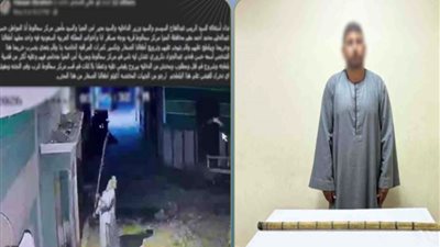 ضبط المتهم بتحطيم كاميرات المراقبة الخاصة بمنزل سيدة في سمالوط