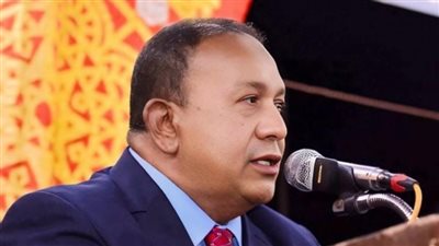 إشادة برلمانية بدور مصر في قمة أفريقيا ـ فرنسا ودعم التنمية بالقارة