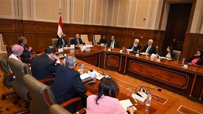 خارجية الشيوخ تناقش تطورات العلاقات المصرية الإفريقية وملف السودان وسد النهضة