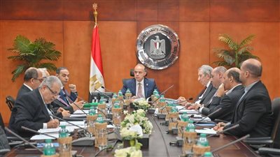 رئيس الوزراء يصدر قرارين بإعادة تشكيل اللجنة الدائمة لمعايير المحاسبة والمراجعة برئاسة وزير الاستثمار.. ومنحه صلاحيات التحديث