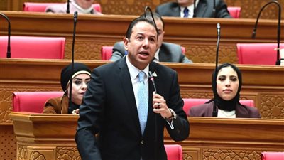 وجود 2 مليون متعثر من تمويلات الشركات ينذر بفقاعة استهلاكية