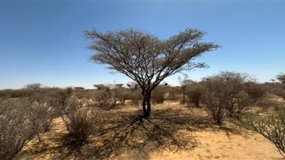 التغير المناخي يلتهم الأكسجين من المجاري المائية ويهدد بظهور “مناطق ميتة”