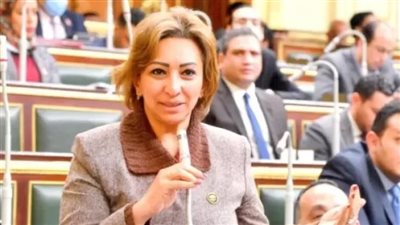 الإنترنت لم يعد رفاهية.. ويجب دعمه لمحدودي الدخل وربطه بحق التعليم