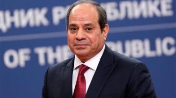 اللي حصل مكنش هيتعمل إلا بإيد المصريين