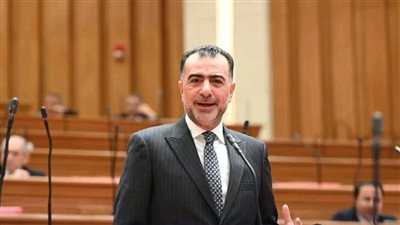 حزب مستقبل وطن مستمر في مسار حل أزمة المعاشات وكل أزمات الشارع