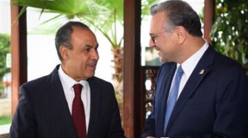 نقدر جهود مصر في خفض التصعيد واحتواء الأزمات الإقليمية
