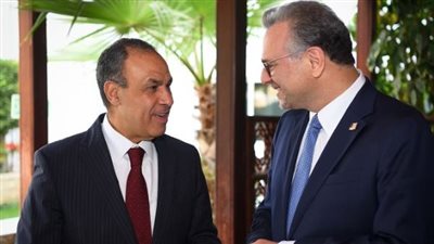 نقدر جهود مصر في خفض التصعيد واحتواء الأزمات الإقليمية