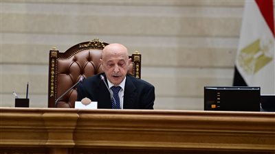الجلسة المصرية الليبية أكدت دعم استقرار ليبيا وتعزيز التنسيق الأمني والاقتصادي بين البلدين