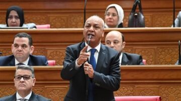 ليبيا امتداد عرقي وإنساني لمصر والدور المصري حاسم في حماية الدولة الليبية