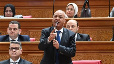 ليبيا امتداد عرقي وإنساني لمصر والدور المصري حاسم في حماية الدولة الليبية