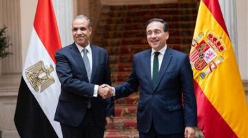 أمن واستقرار منطقة القرن الأفريقي امتداد مباشر للأمن القومي المصري