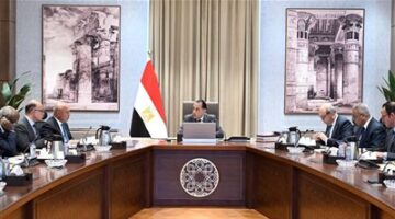 رئيس الوزراء يستعرض جهود تعزيز الربط والتبادل التجاري واللوجيستي مع الدول الإفريقية
