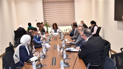 لأول مرة .. البرلمان المصري يستقبل ممثلي شركات الطيران الخاصة والشارتر.. وسحر طلعت تعد ببحث مشكلاتهم