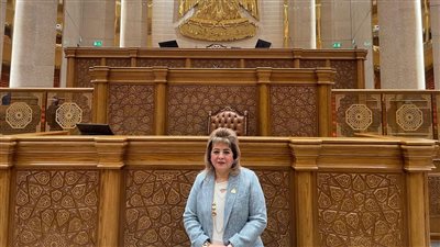 تحرك برلماني لمواجهة خطر الكلاب الضالة وحماية المواطنين من حوادث العقر