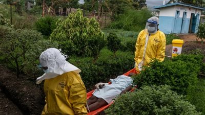 هانتا فيروس معروف من السبعينيات.. الفصيلة المنتشرة عالميًا ليس لها لقاح