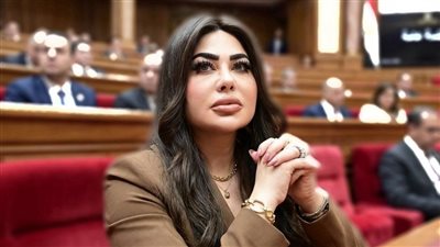 النائبة ولاء الصبان تطالب بإلزام المولات الجديدة باستخدام الطاقة الشمسية وتقليل الضغط على شبكة الكهرباء