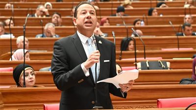 النائب حسن عمار لـ تحيا مصر: الهدوء الإقليمي وعودة الملاحة بقناة السويس بشكل طبيعي يفتح الباب أمام صعود الجنيه مجددًا