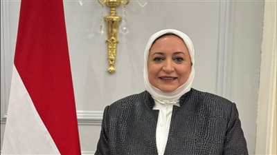 تصدير الكلاب أفضل من قتلها.. ولماذا لا نستفيد من هذه الثروة؟
