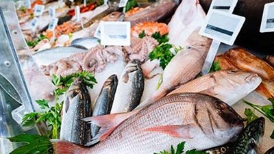 صدمة في سوق السمك.. أسعار قياسية لقشر البياض والسبيط تثير الجدل