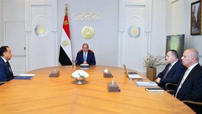 الرئيس السيسي يؤكد أهمية تعزيز شراكات التعليم العالي وإنشاء أفرع أجنبية