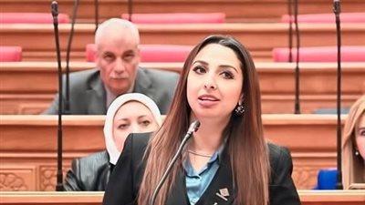 طلب إحاطة جديد بشأن “عمالة المقاول”.. نشوى الشريف تُعيد فتح الملف تحت قبة البرلمان