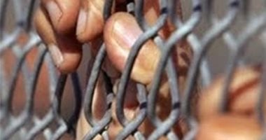 الشهادة الكاذبة.. جريمة قد تُنهى حياتك خلف القضبان أو على حبل المشنقة