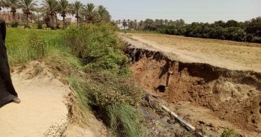 عقوبات مشددة للتعدى على الأراضى الزراعية.. حبس وغرامة تصل لـ 5 ملايين جنيه