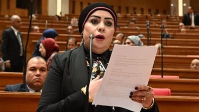 جيهان شاهين تطالب بربط تطوير التعليم بمهارات سوق العمل والتوسع في تدريب المعلمين